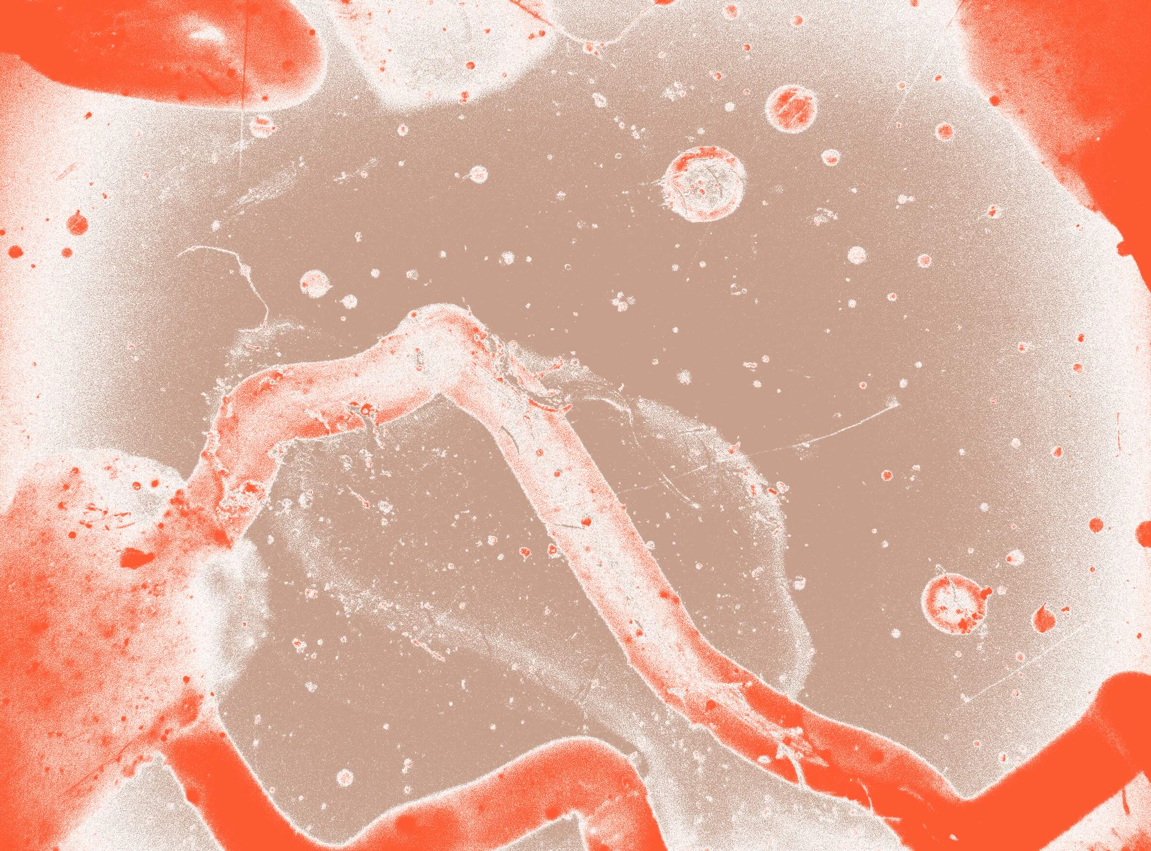 rios livres exposicao web