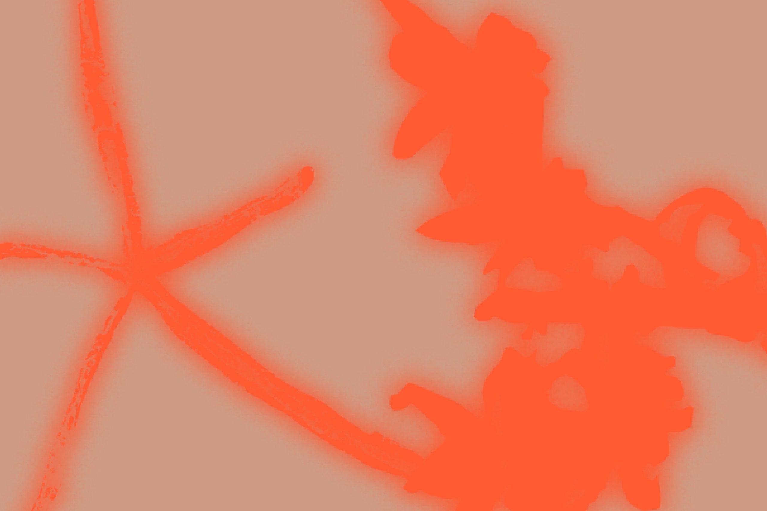 seminario futura web